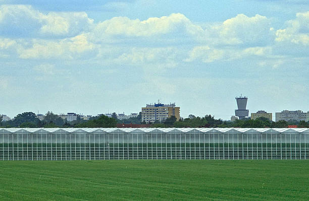 A wide view of a large commercial greenhouse facility stretching across the foreground, with a green field in front. In the background, a mix of buildings and trees are visible against a sky filled with white clouds. This image represents modern agriculture, rural development, and the intersection of nature and industry.