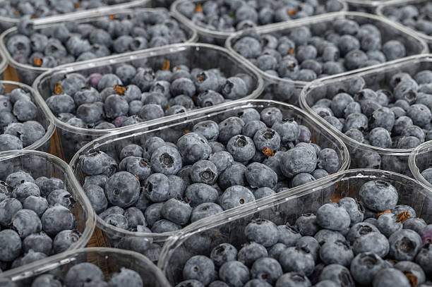 istock Close-up of plastic containers filled with fresh blueberries 2214652431