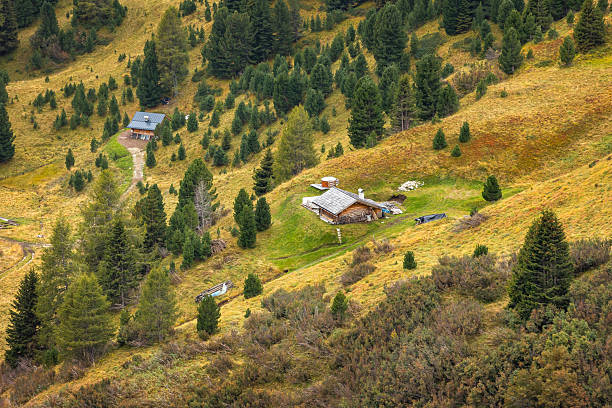 Log cabin in tilt shift