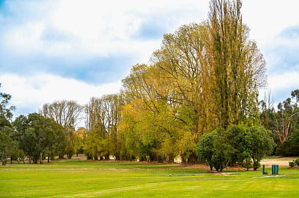 istock Autumn morning in the park 2214653996