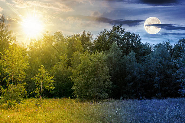 landscape with forest on the hill on summer solstice. day and night time change concept. scenic view of blooming alpine pasture with sun and moon at twilight. vacation season in european countryside