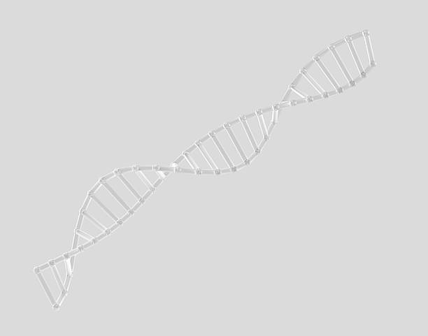 3d Transparent DNA helix with futuristic look, symbolizing genetics and biotechnology. 3d illustration