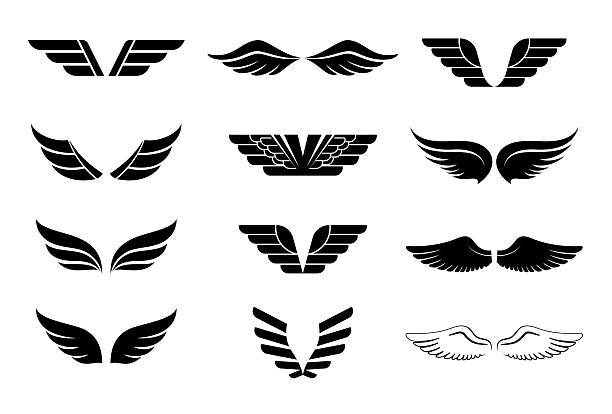 various wings design elements set. ai eps10