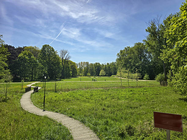 istock Peaceful Green Park Landscape city escape 2214662856