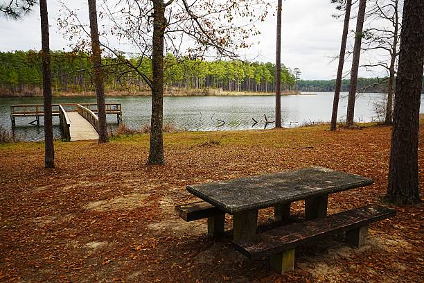 istock Geneva State Forest Wildlife Management Area Alabama 2214664402
