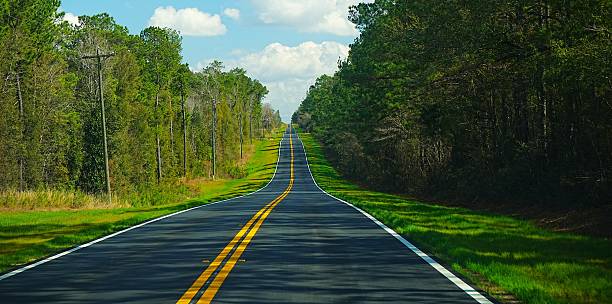 istock Tree Farms.  Driving through Conecuh National Forest Alabama 2214664551