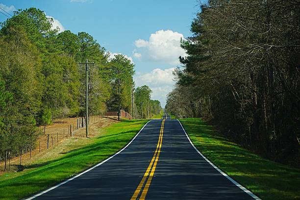 istock Tree Farms.  Driving through Conecuh National Forest Alabama 2214664557