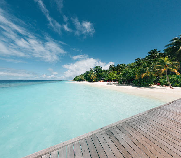 istock Wooden pier overlooking tropical beach in Maldives 2214665166