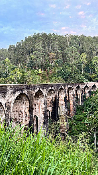 istock Historic stone railway bridge surrounded by lush green jungle and tall forest trees. 2214671070