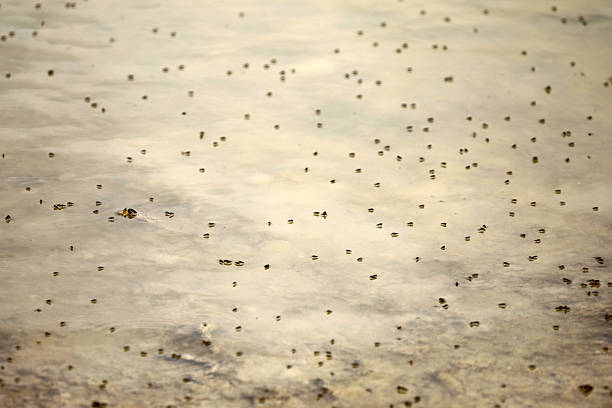 istock On the beach and sea and water 2214671903