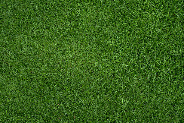 istock Grass background at football field 2214677367