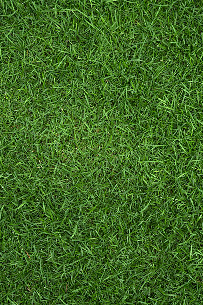 istock Grass background at football field 2214677383