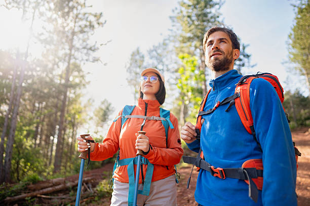 istock Couple hiking together in a scenic forest trail under bright sunlight 2214677872