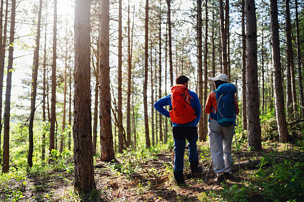 istock Hikers exploring a serene forest trail with backpacks and sunshine 2214678327