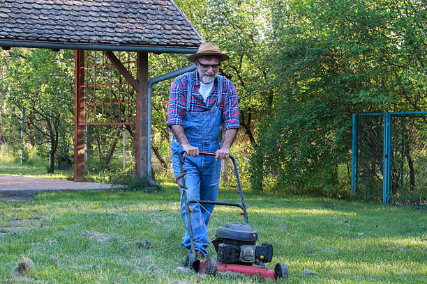 old lawnmower
