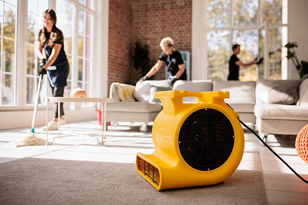 istock Professional Home Cleaners Working Together 2214684651