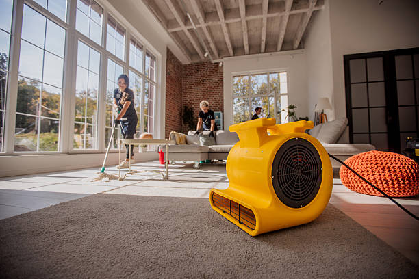 istock Professional Home Cleaners Working Together 2214684698