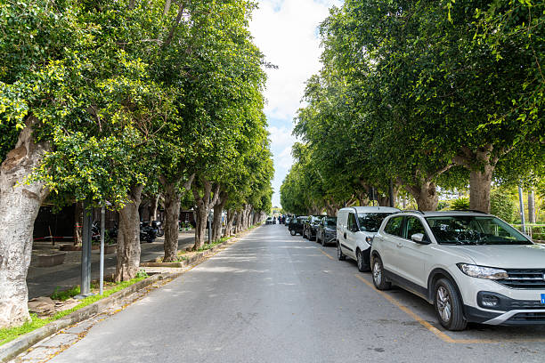 Noto, Sizilien - Italy - 04-06-2025: Long straight road lined with green trees on both sides, with cars parked along the street and people visible in the background in Noto.