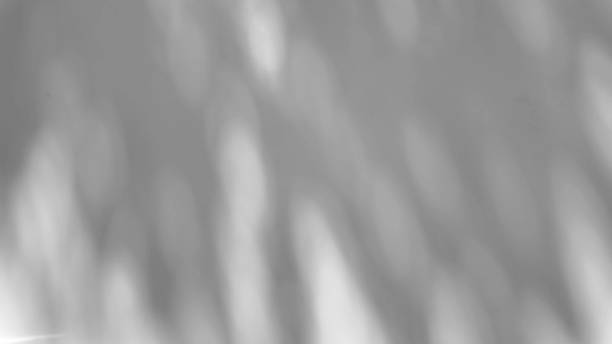istock The shadow of a tree sways on a white background 2214690401