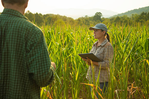 istock Smart Farming. Farmers Use Tablet in Corn Field at Sunset. 2214691065