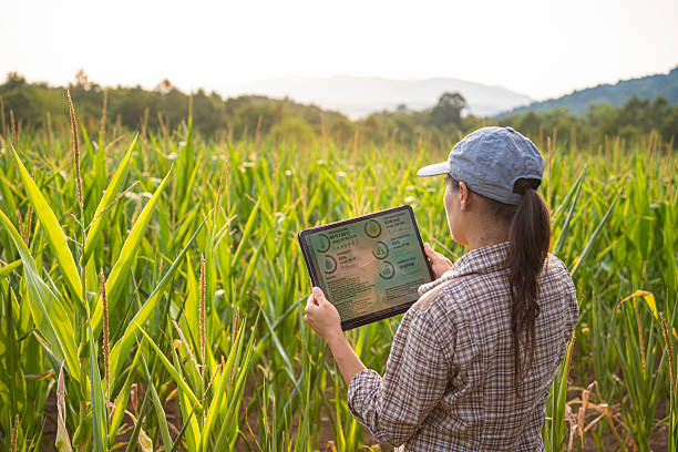istock Smart Farming. Farmer Uses Agro App on Tablet in Corn Field at Sunset. 2214691066