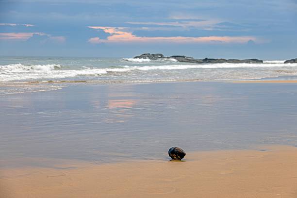 An empty sand beach with a large hollowed hole. The serene environment features coastlines of water, scattered seaweed, and peaceful natural surroundings.