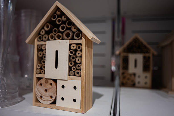 Wooden insect habitat with varied compartments, displayed indoors under artificial lighting.