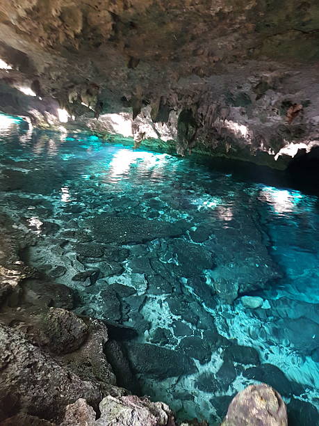 istock The cenote Dos Ojos near Tulum 2214701298