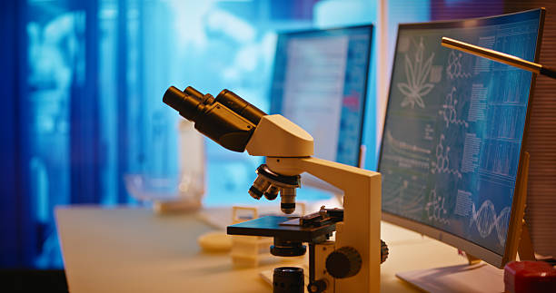 istock Medical marijuana research laboratory. Microscope set up for studying medical samples to collect data. Medical science research 2214702193
