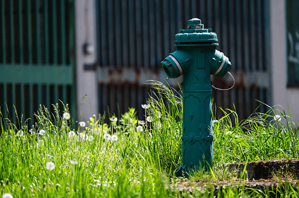 A vividly painted green fire hydrant stands amid tall grass and dandelions in a sunlit, slightly neglected area. The background features a weathered metal gate, adding an urban-industrial touch to the natural overgrowth. The scene balances functionality with the quiet encroachment of nature.