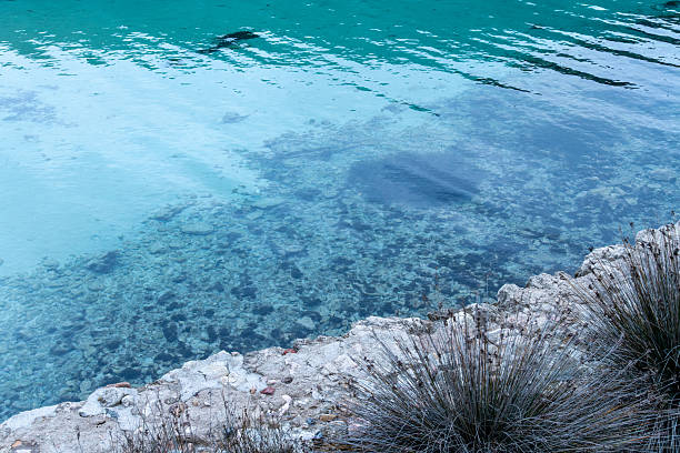 Clear Turquoise Water and Rocky Shoreline View