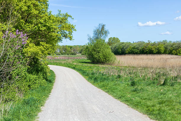 istock Rural country road amond field and forest 2214707050