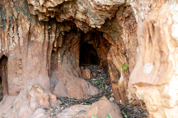 Close-up view of a small cave entrance surrounded by textured rock formations, captured in the Zingaro Nature Reserve on the island of Sicily.