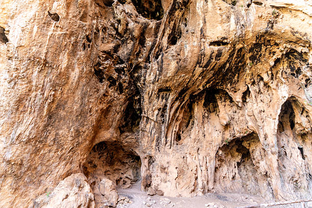 Detailed view of a weathered rock formation with textured surfaces and natural cavities, photographed in the Zingaro Nature Reserve in Sicily.