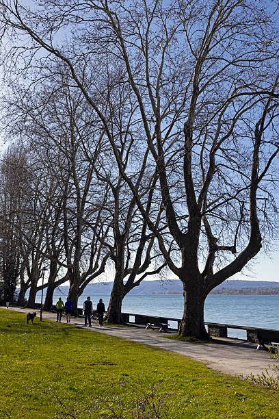Rudolfzell Bodensee, Baden Wurttemberg Germany. Park near the shoreline of the lake. Lake constance