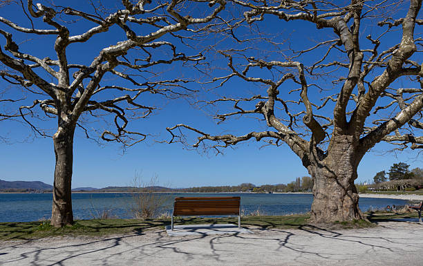 istock Rudolfzell Bodensee, Baden Wurttemberg Germany 2214710741