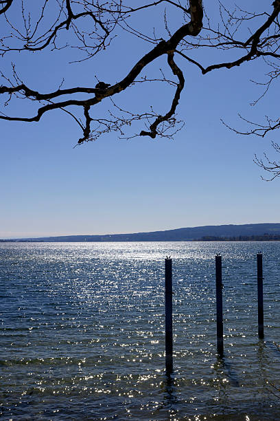 Shadows of tree branches at the shore and boulevard near the lake. Rudolfzell Bodensee, Baden Wurttemberg Germany