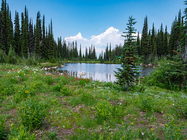 Revelstoke National Park, Balsam Lake, Canada