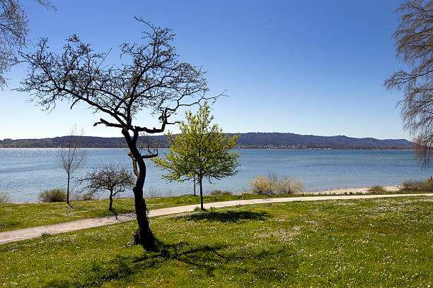 Rudolfzell Bodensee, Baden Wurttemberg Germany. Lake Constance. Shoreline and beach