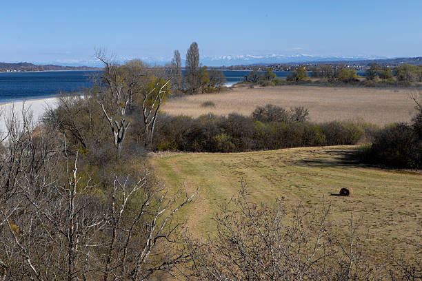 Rudolfzell Bodensee, Baden Wurttemberg Germany. Lake Constance. Shoreline and beach. Naturepark Mettnau.