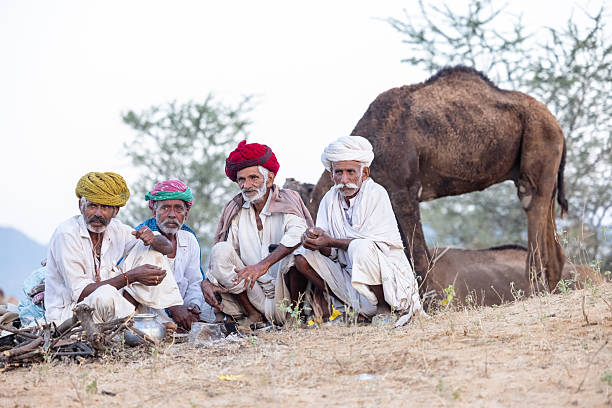 Pushkar, Rajasthan, India - November 2024: Group of a rajasthani male in traditional white clothes with colourful turban at desert ground in winter morning with camel during pushkar fair.