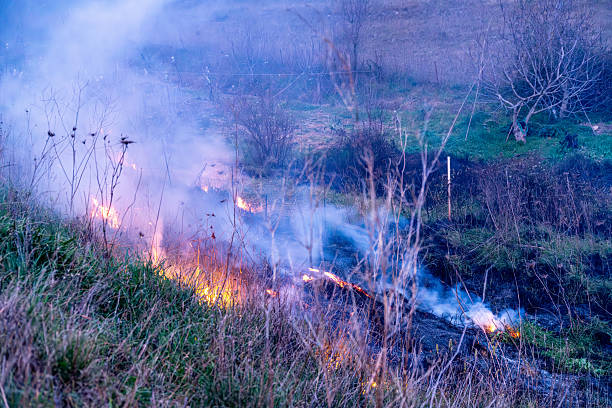 istock Small grass fire with smoke in rural area 2214717591