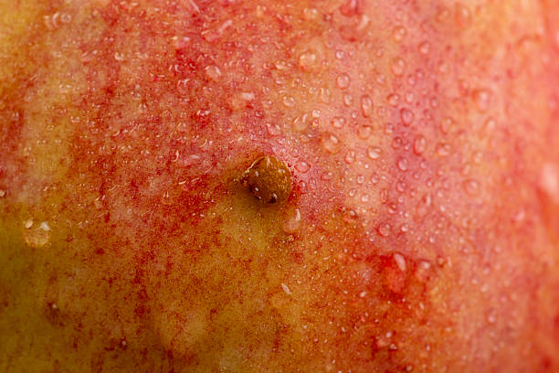 istock fresh crunchy apple with red and green peel 2214728175