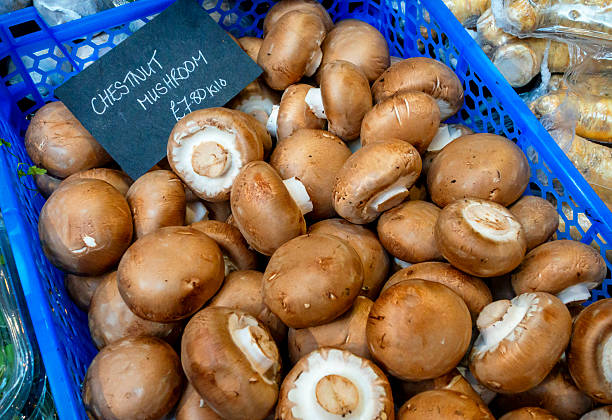 A crate of chestnut mushrooms for sale in Borough Market, a famous indoor produce market in Southwark, South East London.