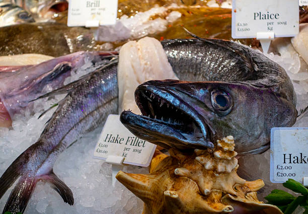 A vicious-looking hake with sharp teeth amongst the fish on display on a fishmonger’s counter in Borough Market, a famous indoor produce market in Southwark, South East London.
