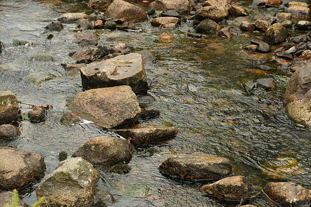 A serene natural stream flowing over smooth rocks, creating a peaceful and refreshing scene. The water reflects natural light, highlighting the textures of the stones and moss. Perfect for illustrating natural beauty, tranquility, and eco themed concepts in blogs, advertisements, and educational materials