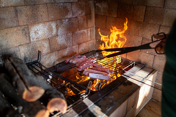 Grilled meat with fire and wood logs.