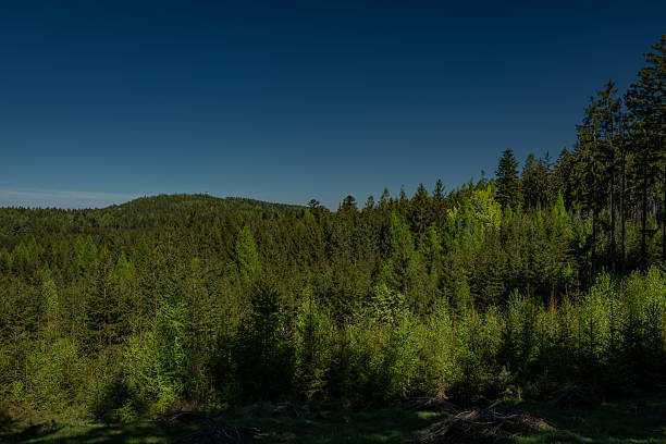 Color spring view in Orlicke mountains with green fresh forests and meadows