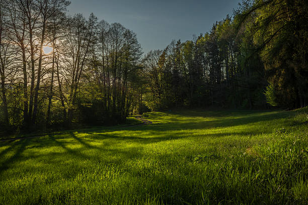 Color spring view in Orlicke mountains with green fresh forests and meadows in sunny evening