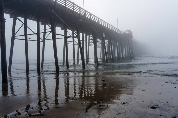 istock Misty Oceanside Municipal Pier at Dawn with Reflections 2214747149